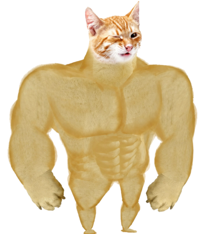 ROBINHOOD, the buff cat from the co-founder's post